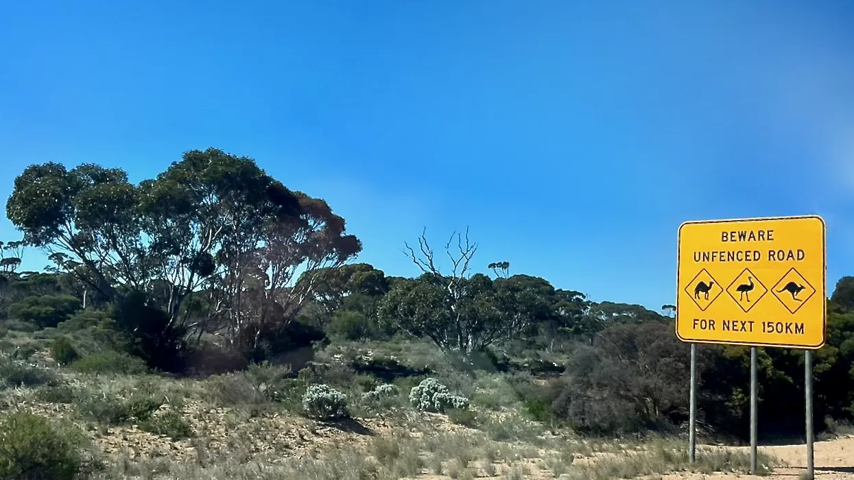 Camel Emu Kangaroo Road sign