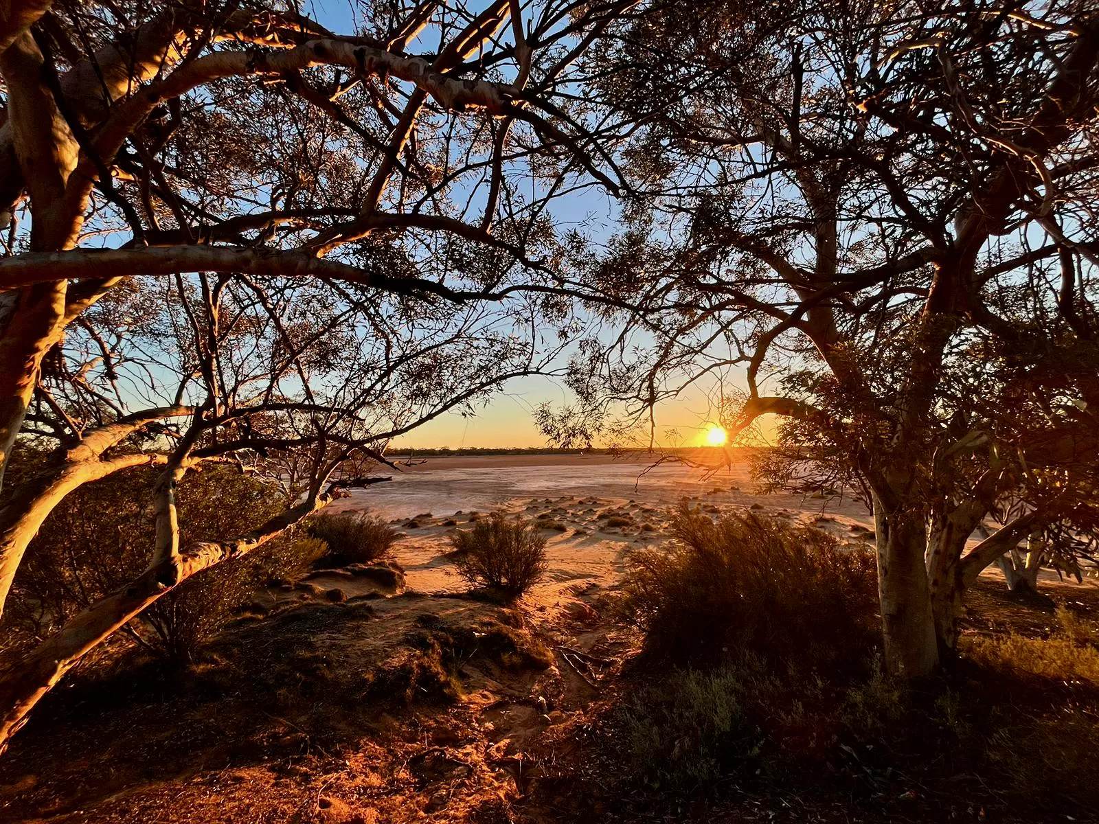 Fraser Range WA