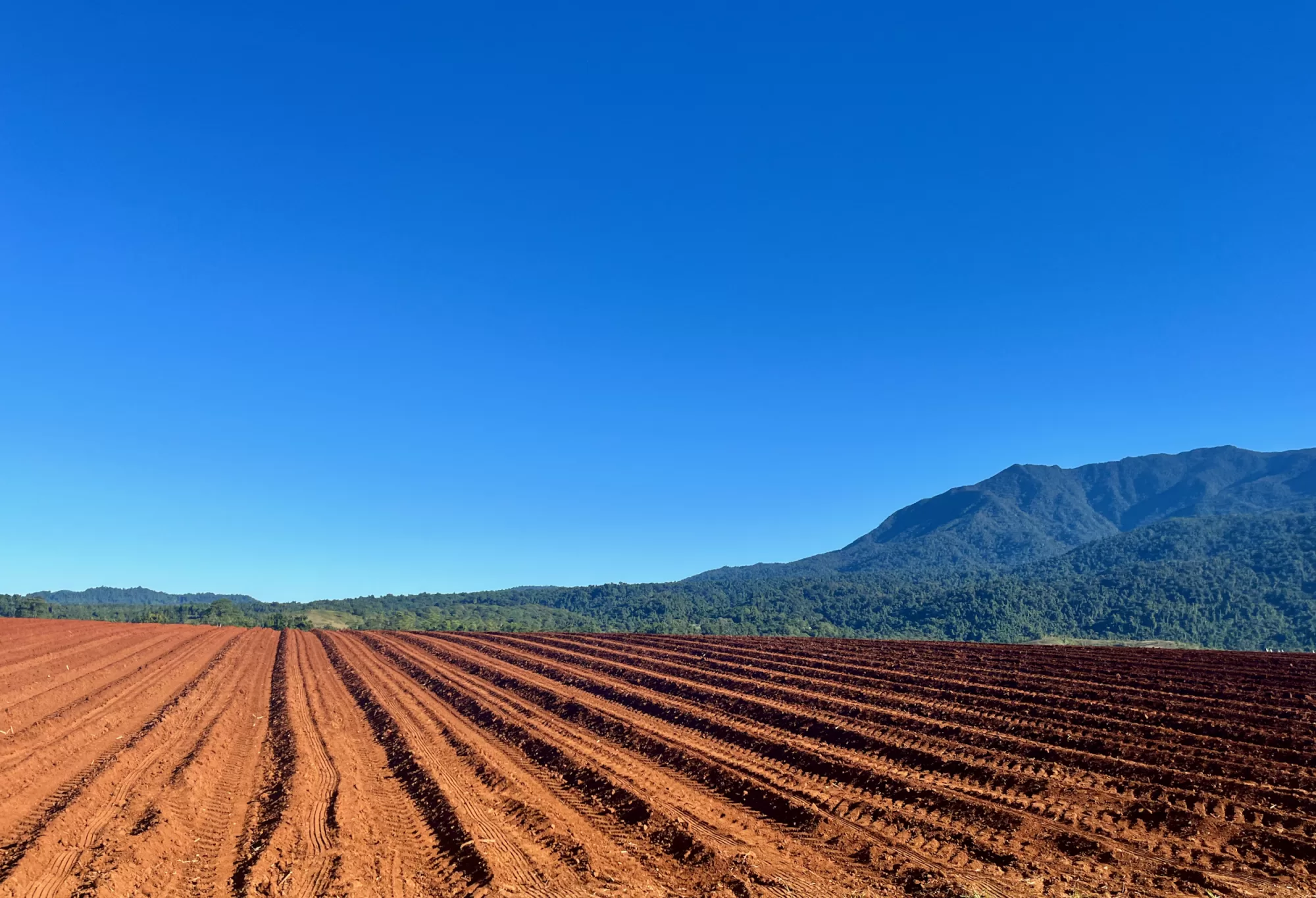 Red dirt Babinda QLD