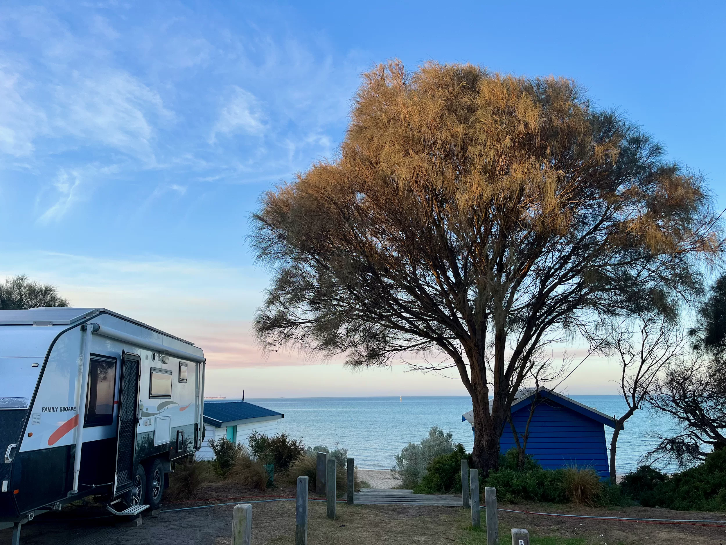 Whitecliffs Foreshore Reserve, Rye, Mornington Penninsula, VIC