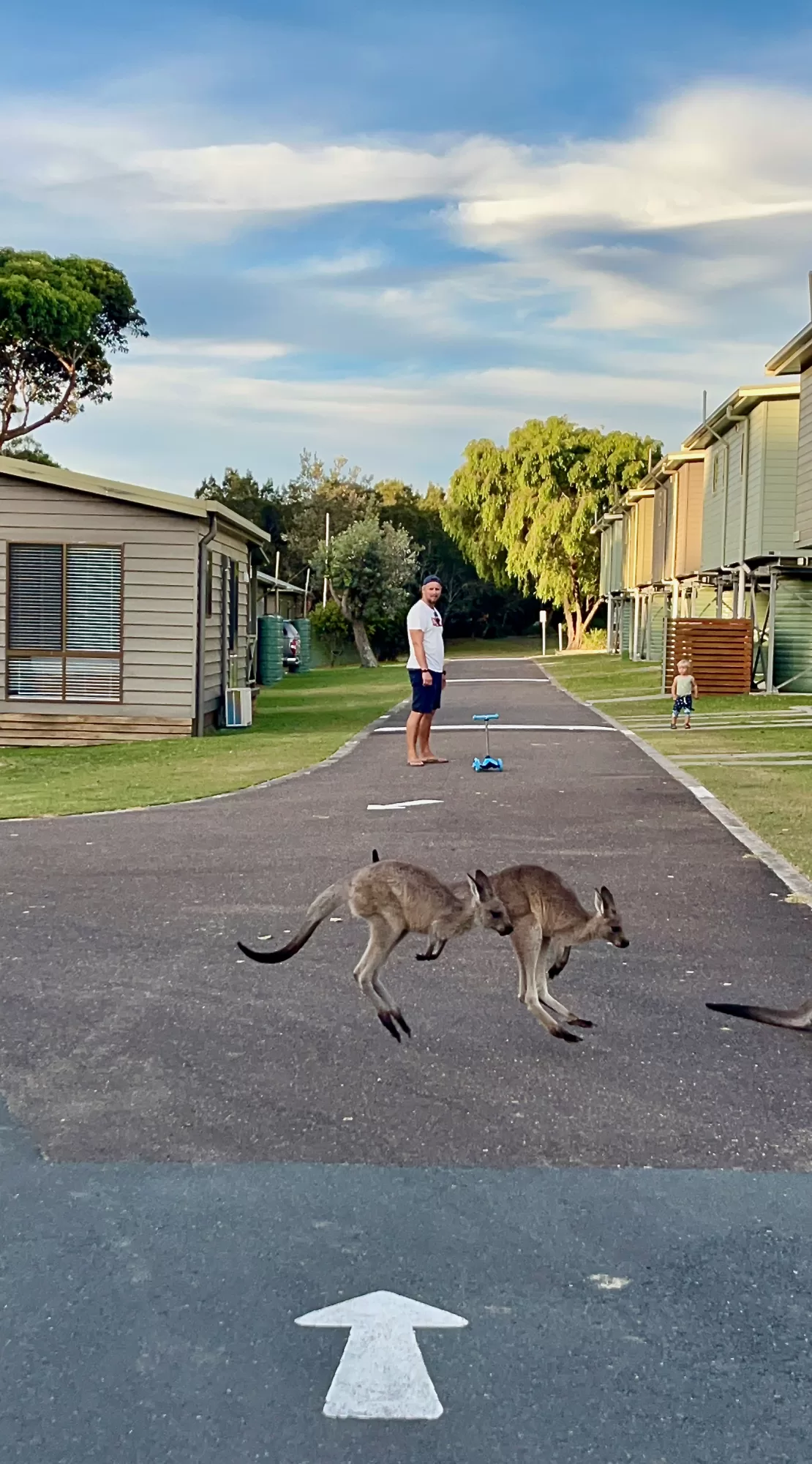 Lakesea Caravan Park Durras, Durras, NSW