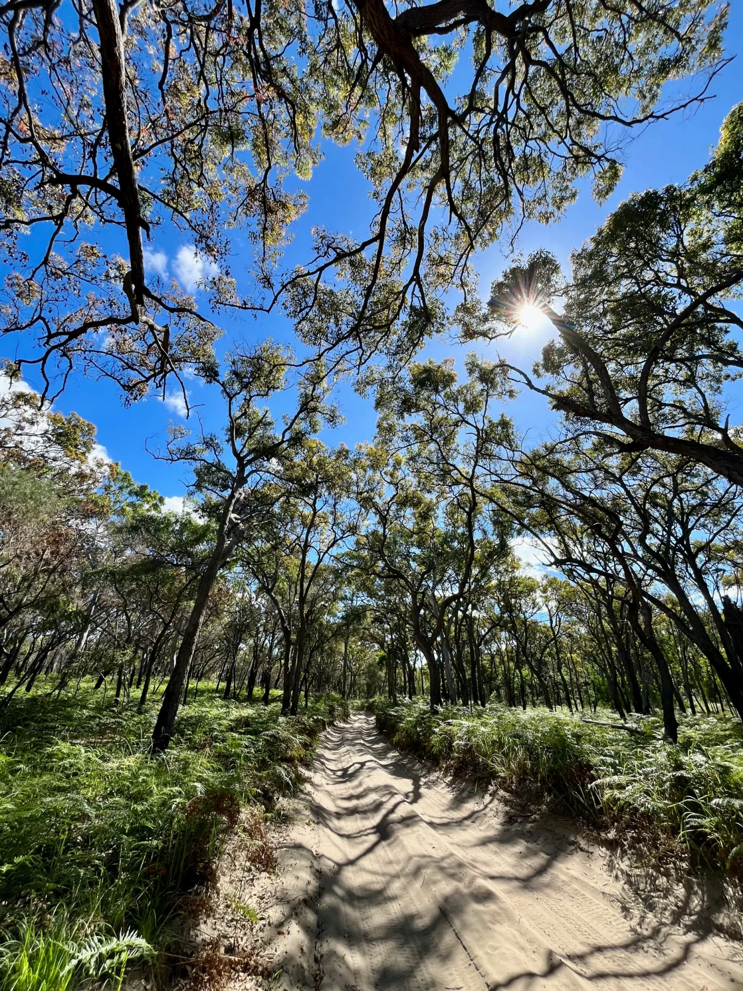 Inland driving K´Gari Fraser Island QLD