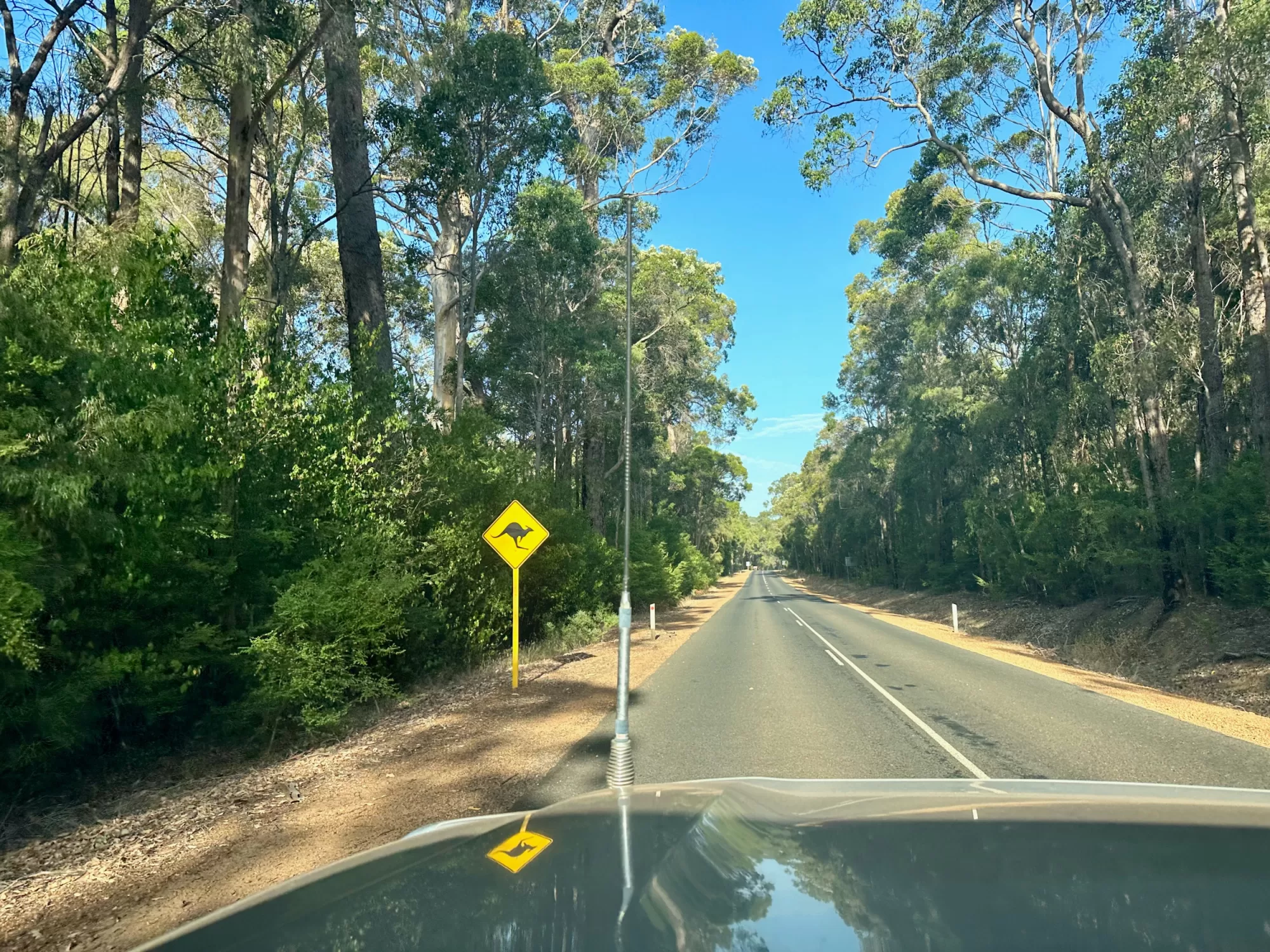 Kangaroo road sign