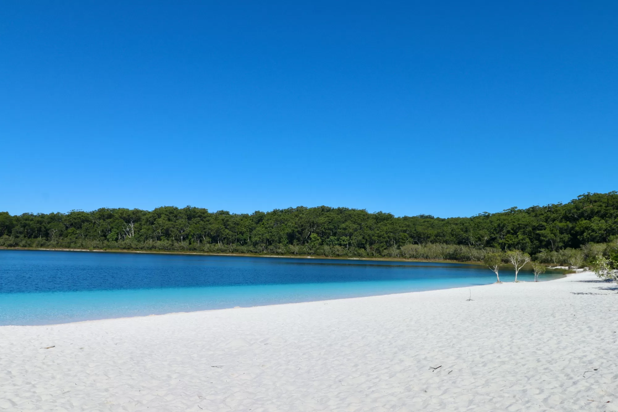 The colours of Lake McKenzie K´Gari QLD