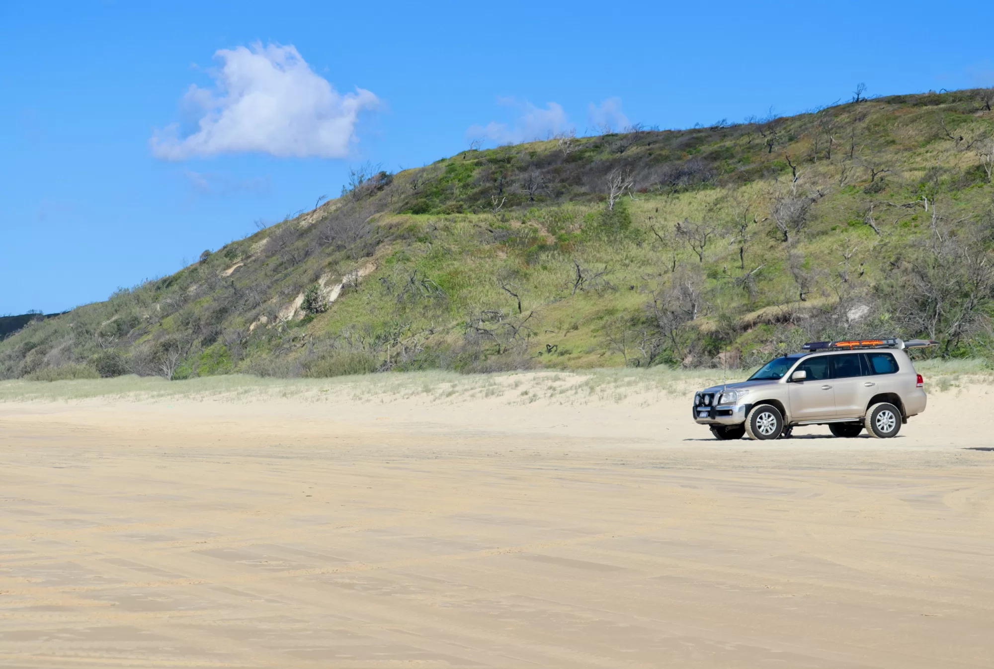 Beach Highway K´Gari Fraser Island QLD