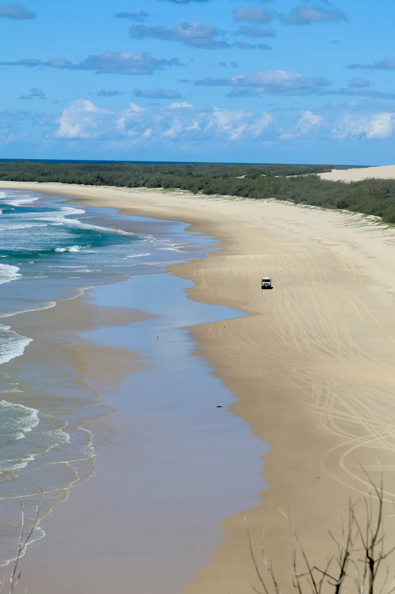 K´Gari Fraser Island QLD