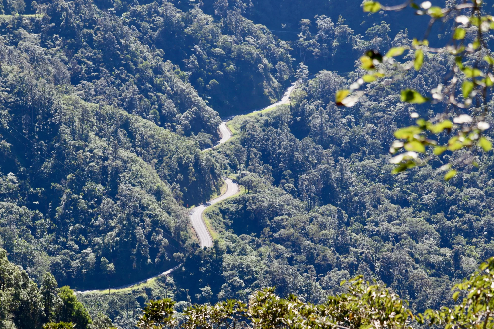 Winding road QLD