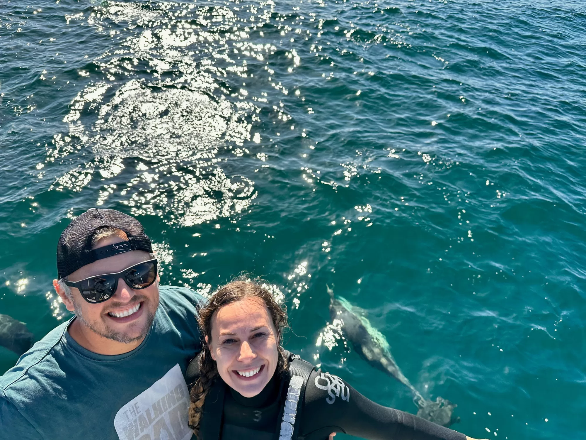 Nelson Bay Swim with  Dolphin NSW