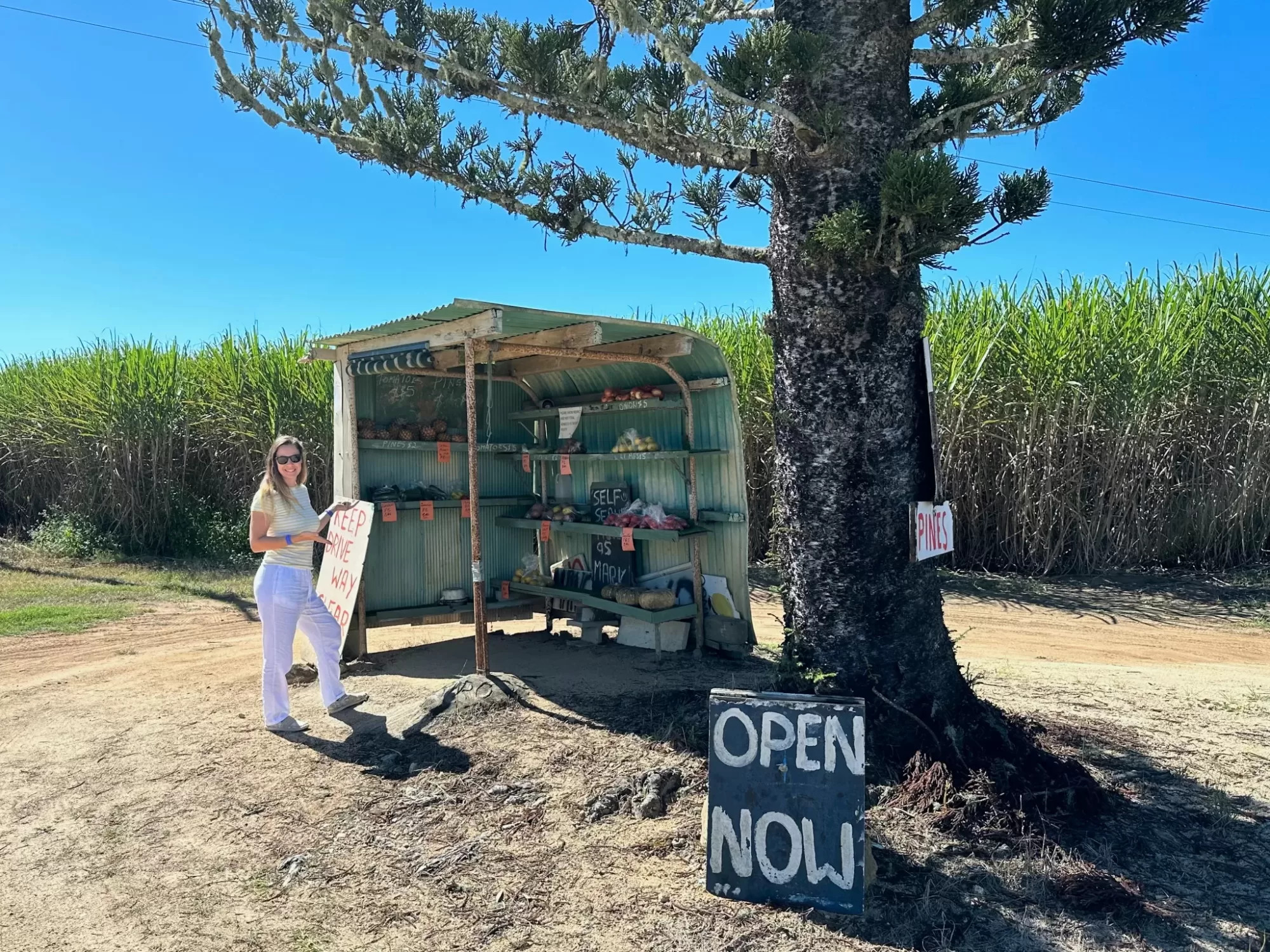 Self-serve Fresh produce stand on road side QLD