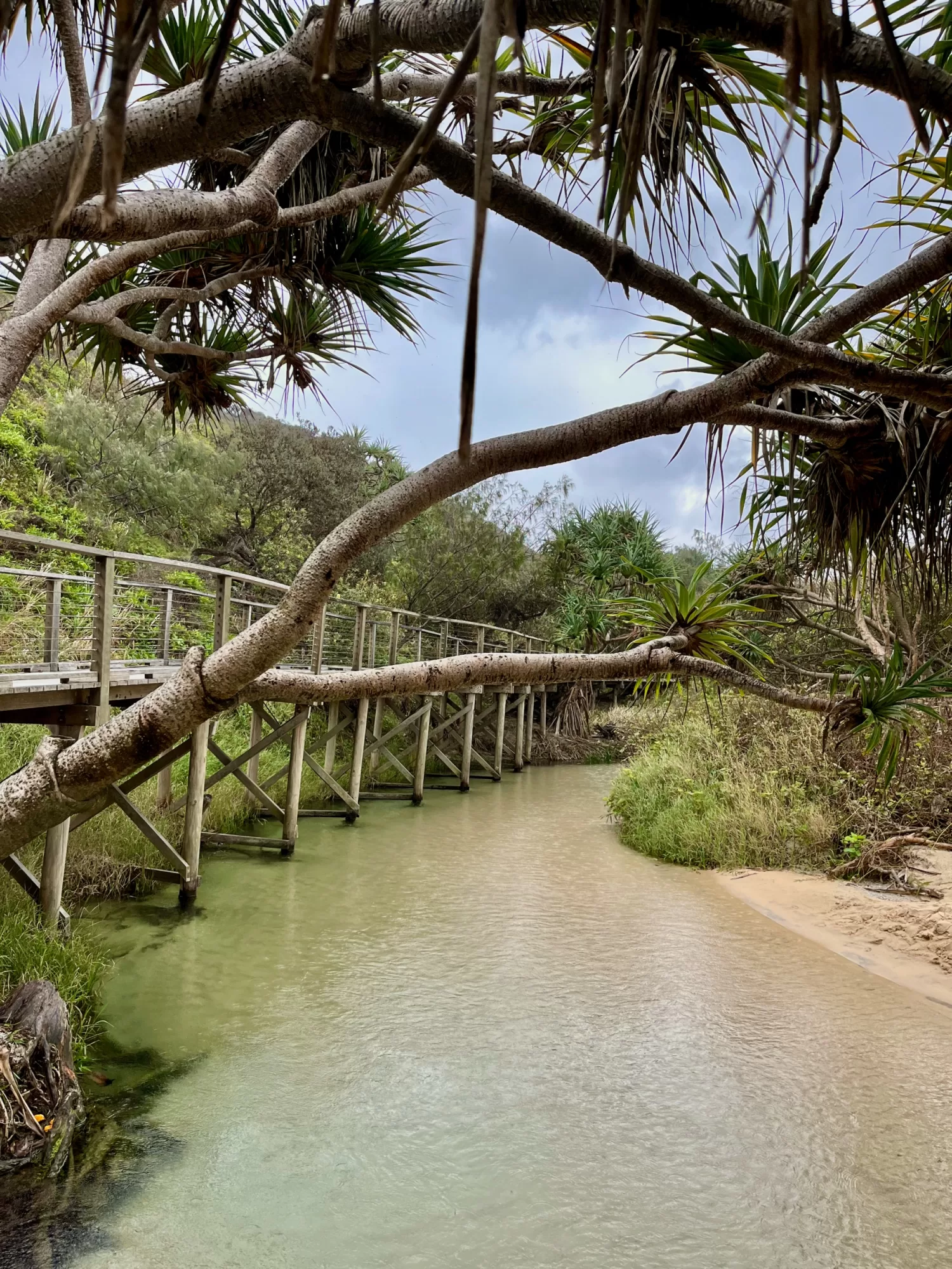 Eli Creek K´Gari Fraser Island QLD