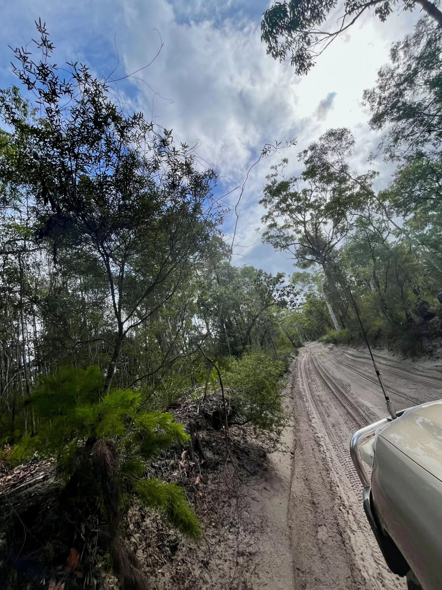 Inland driving K´Gari Fraser Island QLD