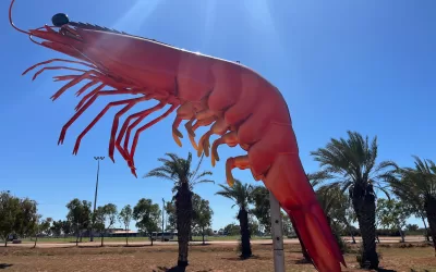 Big Things Australia: Your Guide to the Best Giant Icons