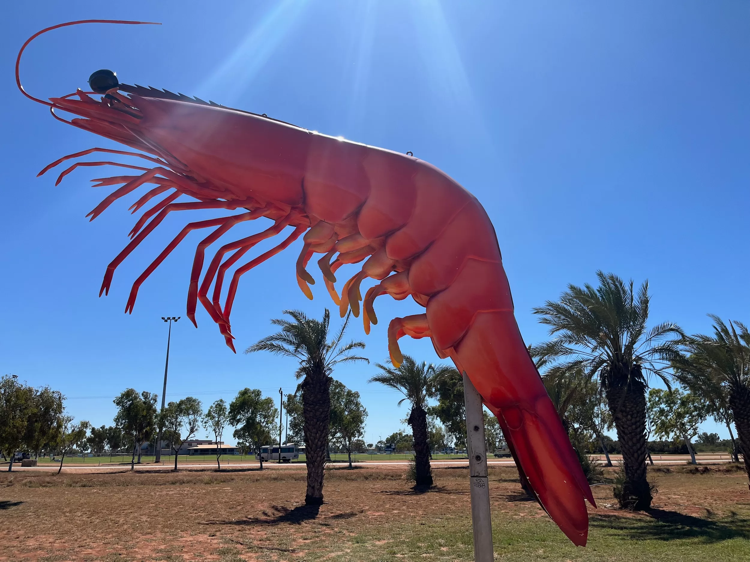 Big Prawn Exmouth WA