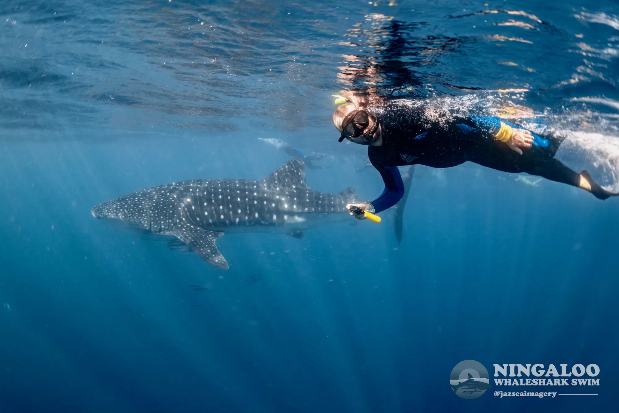 Adrian swimming with a whale shark credit: Ningaloo Whaleshark Swim Jazseaimagery