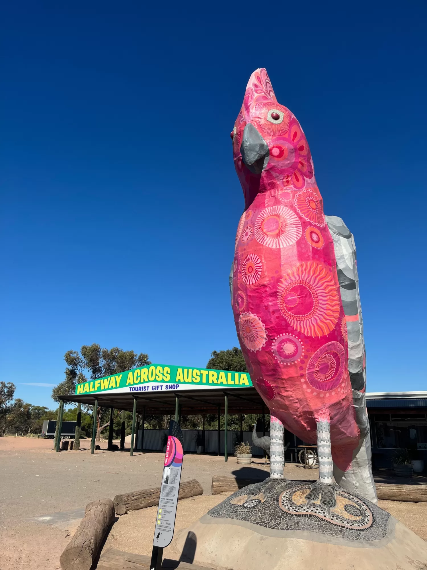 The Big Galah Kimba SA The Big Things Australia