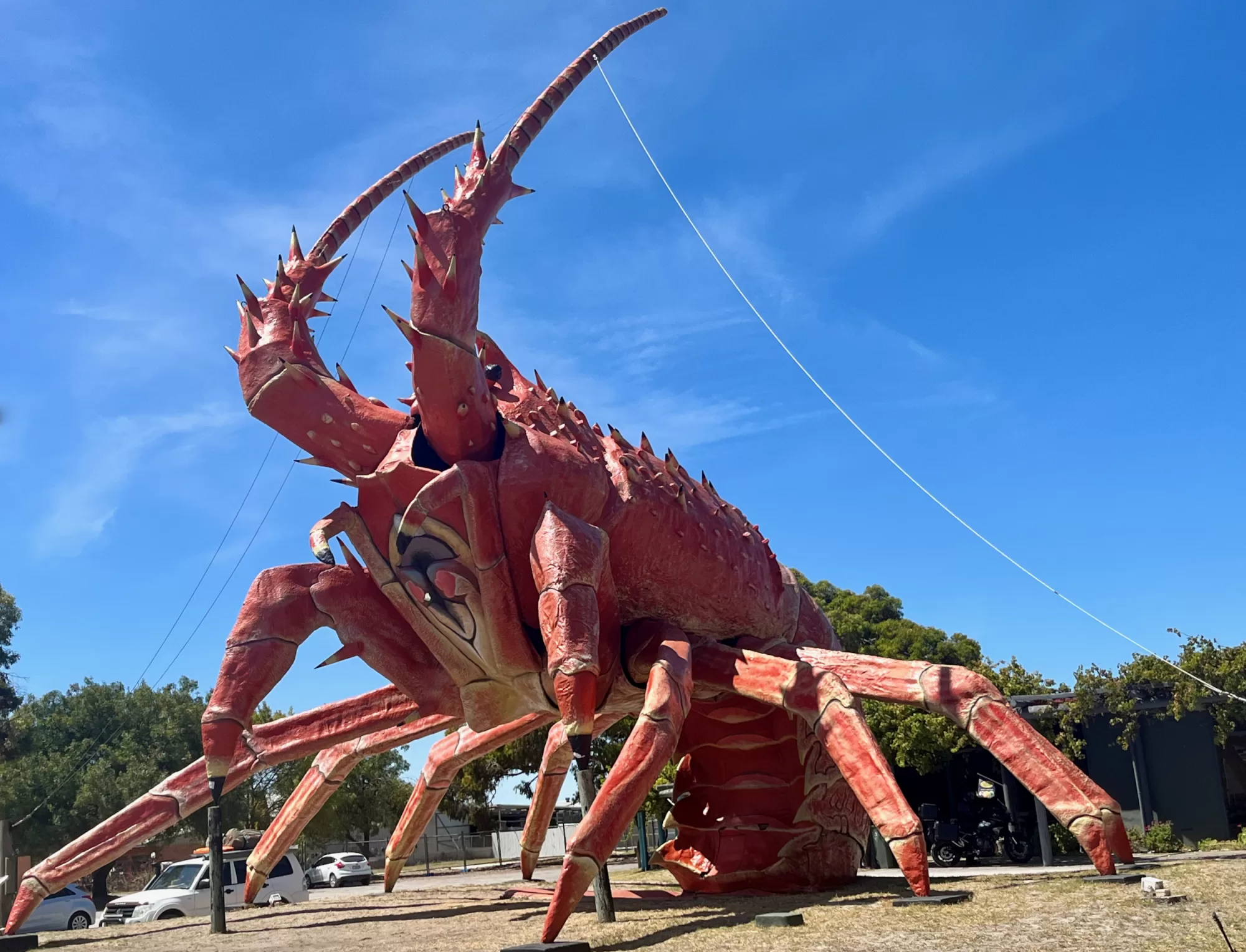 The Big Lobster SE SA The Big Things Australia