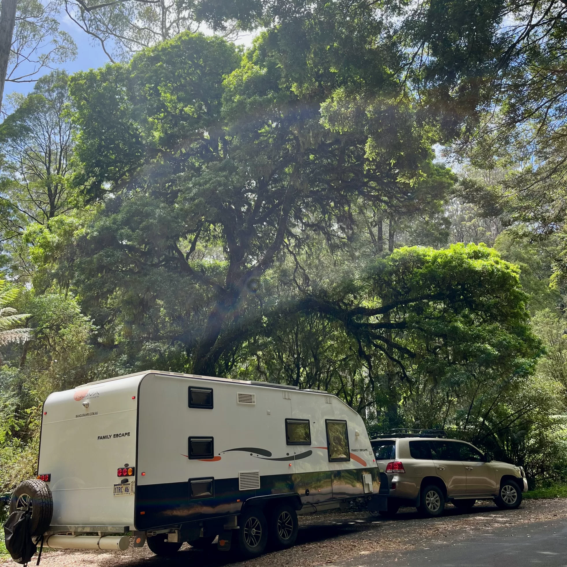 Great Otway NP VIC