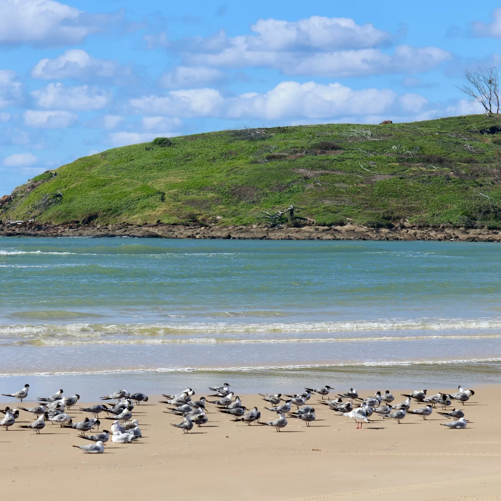 K´Gari Fraser Island QLD